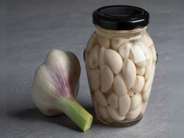 خرید و فروش سیر شور سفید با شرایط فوق العاده